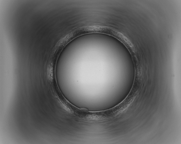 X0000116630633200912111217