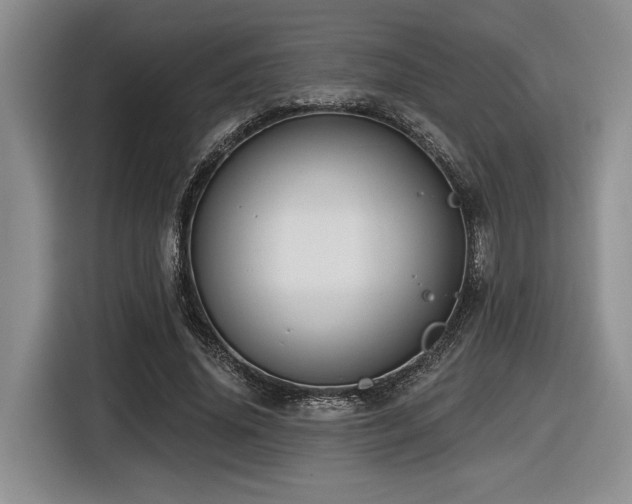 X0000116630636200912111217