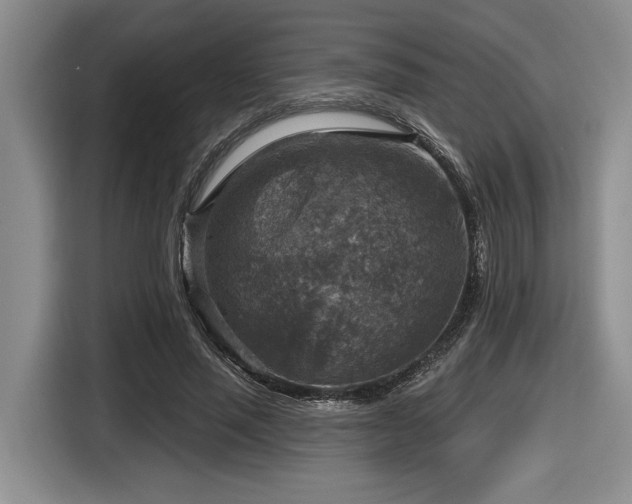 X0000116630637200912111217