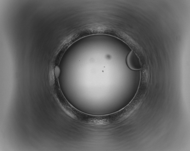 X0000116630638200912111217