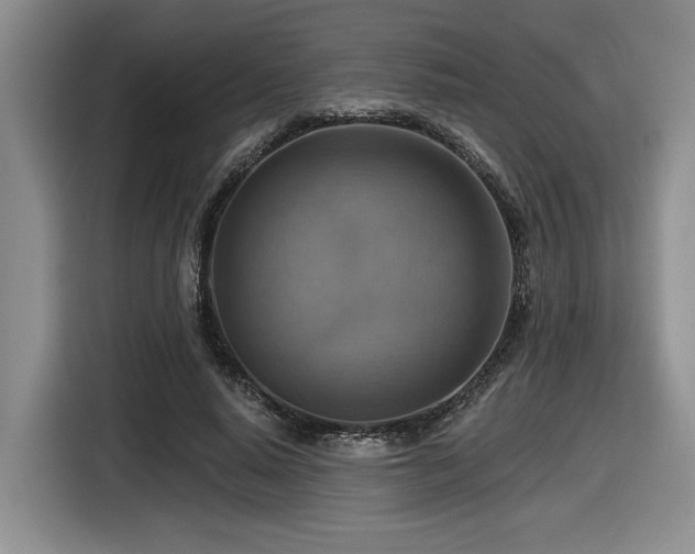 X0000116630640200912111217