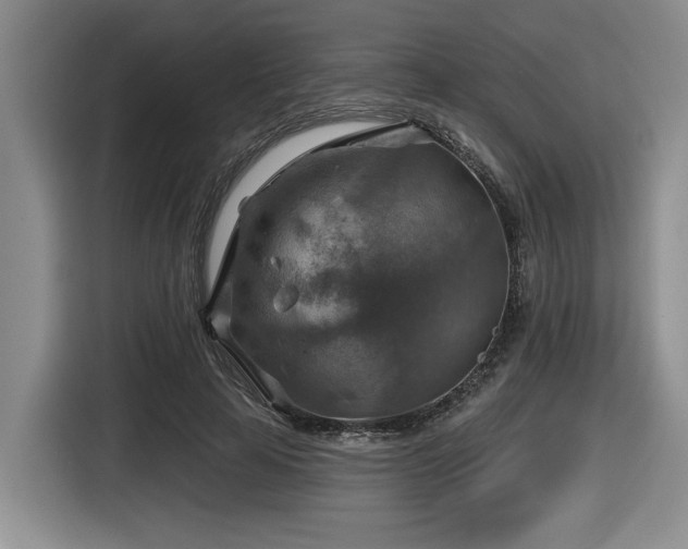 X0000116630641200912111217