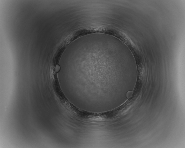 X0000116630643200912111218