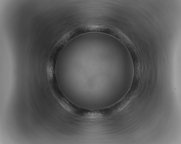 X0000116630644200912111218