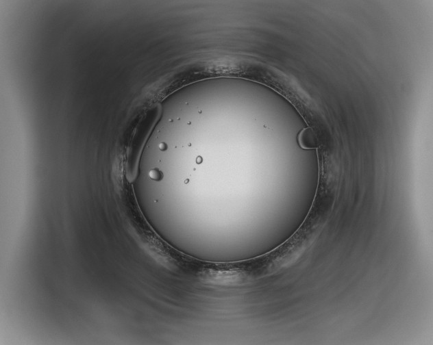 X0000116630645200912111218