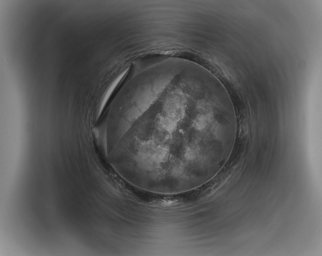 X0000116630647200912111218