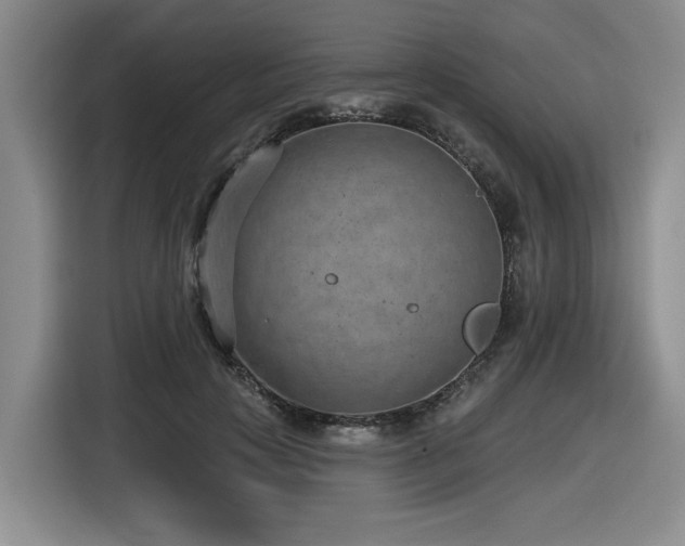 X0000116630649200912111218