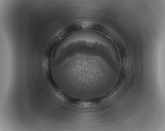 X0000116630650200912111218