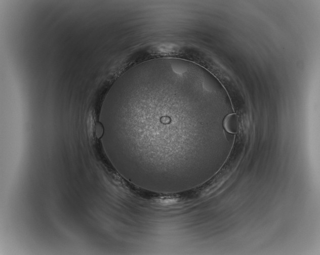 X0000116630651200912111218