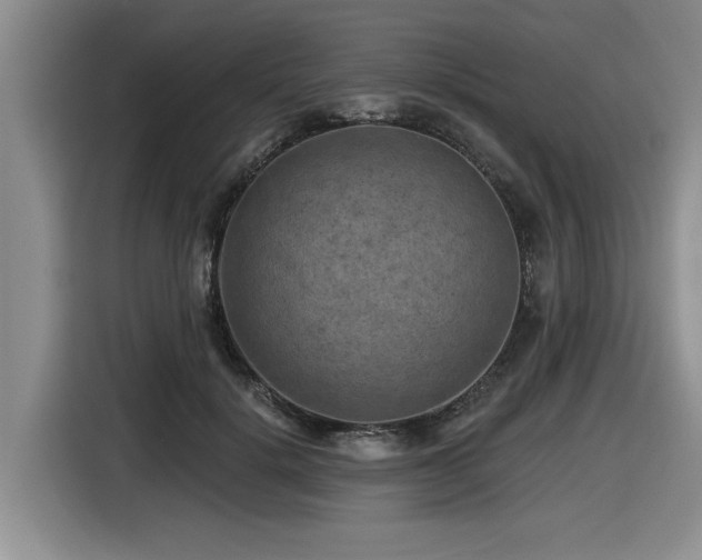 X0000116630652200912111218