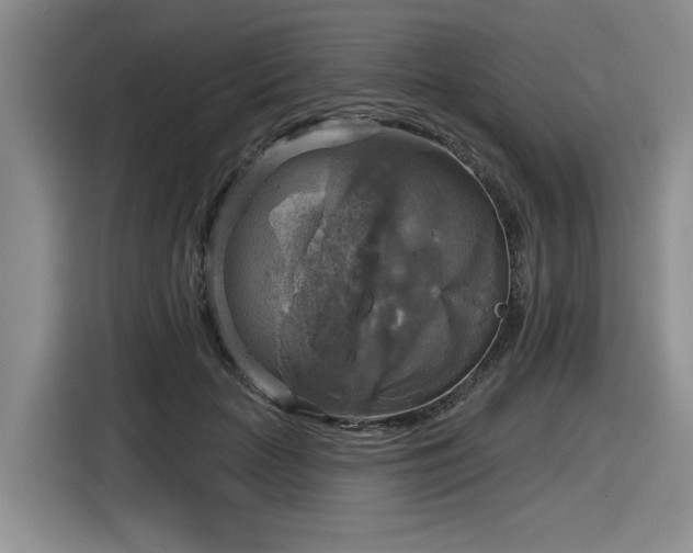 X0000116630653200912111218