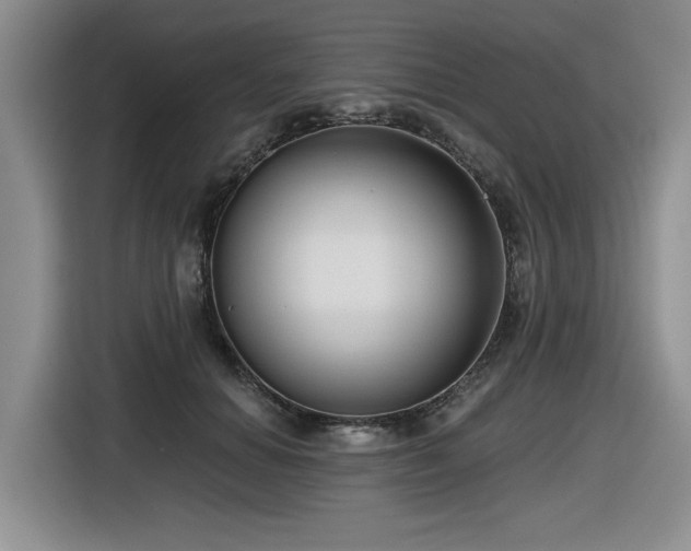 X0000116630654200912111218