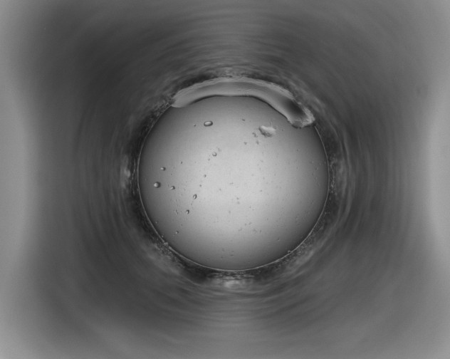 X0000116630655200912111218