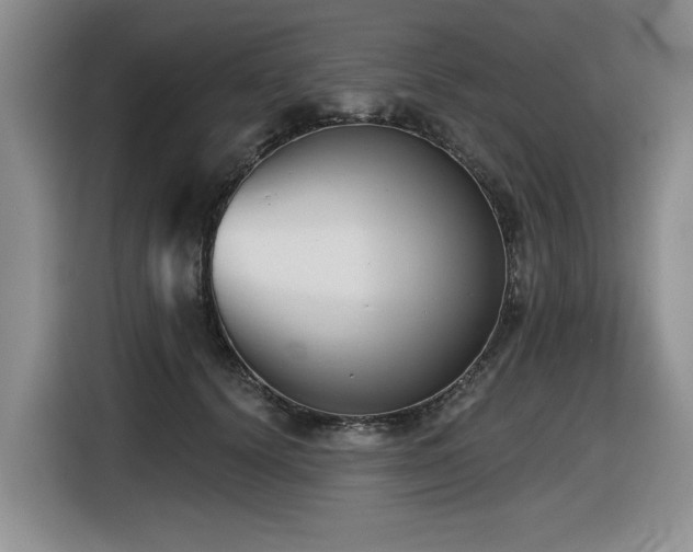 X0000116630656200912111218