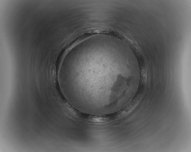 X0000116630657200912111218