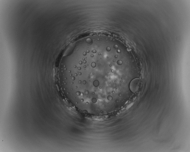 X0000116630659200912111218