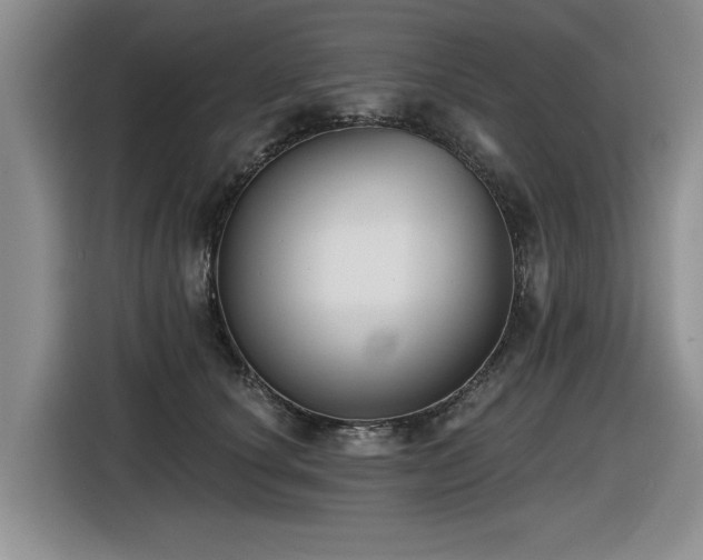 X0000116630660200912111218