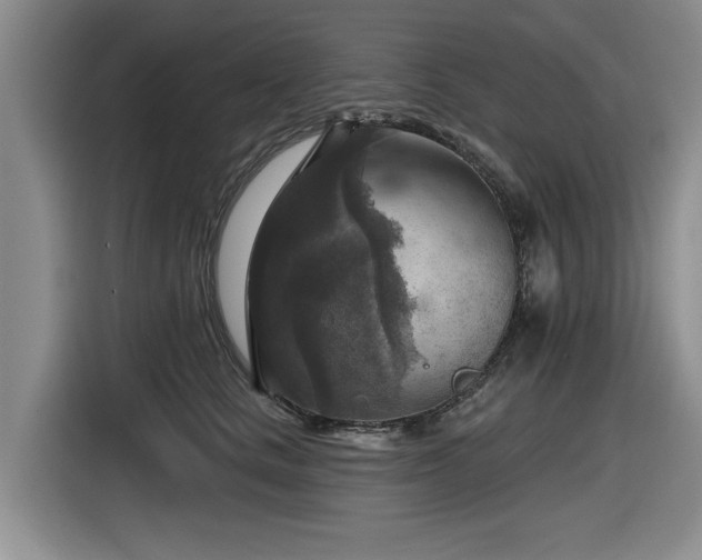 X0000116630661200912111218