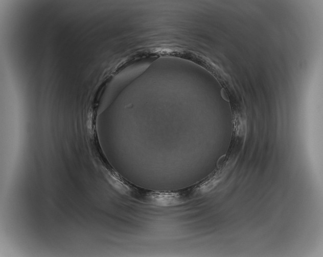 X0000116630670200912111218