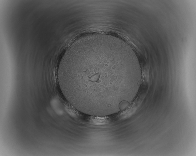 X0000116630671200912111218