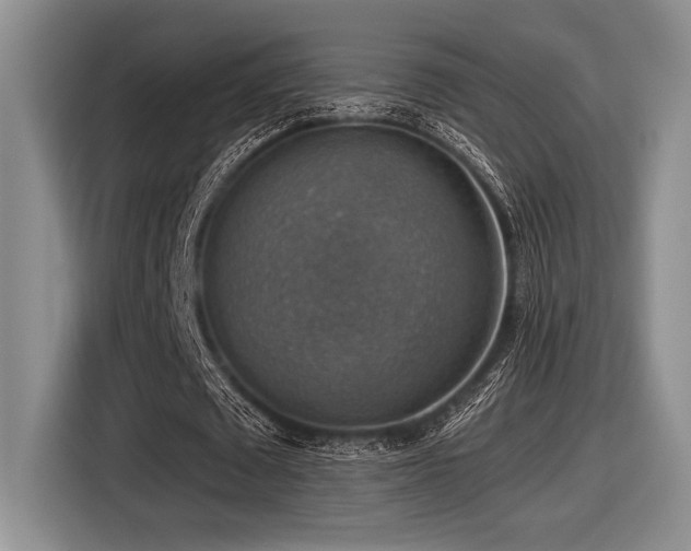 X0000116630673200912111217