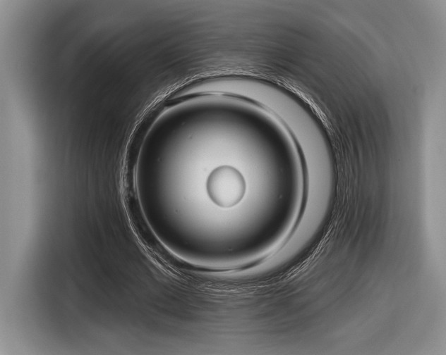 X0000116630677200912111217