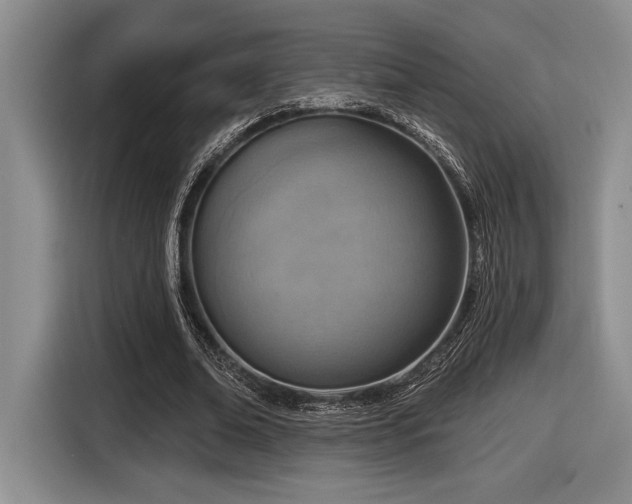 X0000116630678200912111217