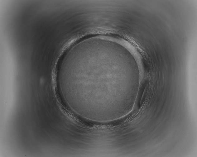 X0000116630679200912111217