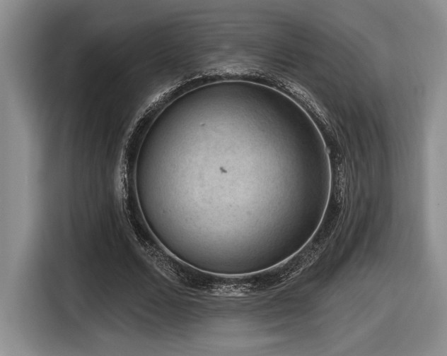 X0000116630680200912111217