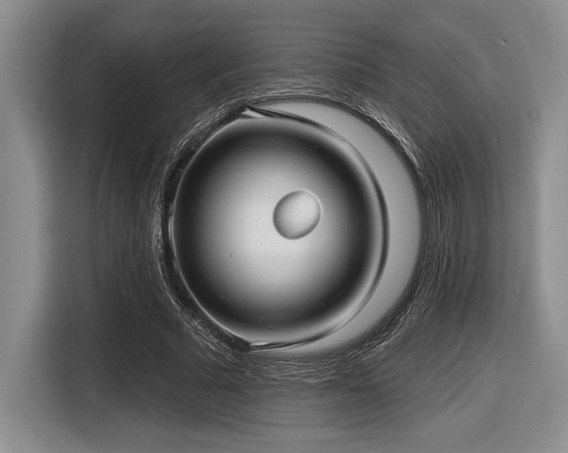 X0000116630681200912111217