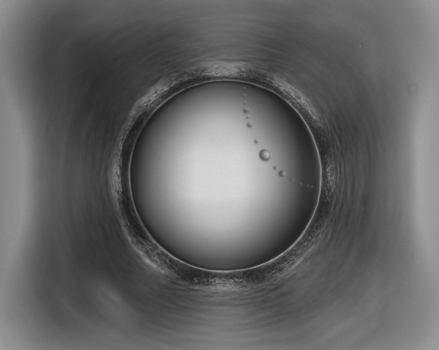 X0000116630682200912111217