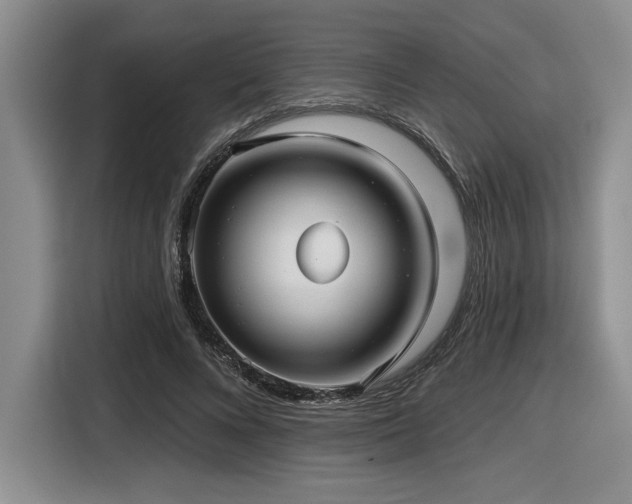 X0000116630688200912111217