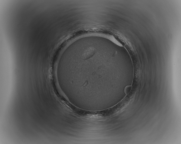 X0000116630689200912111217