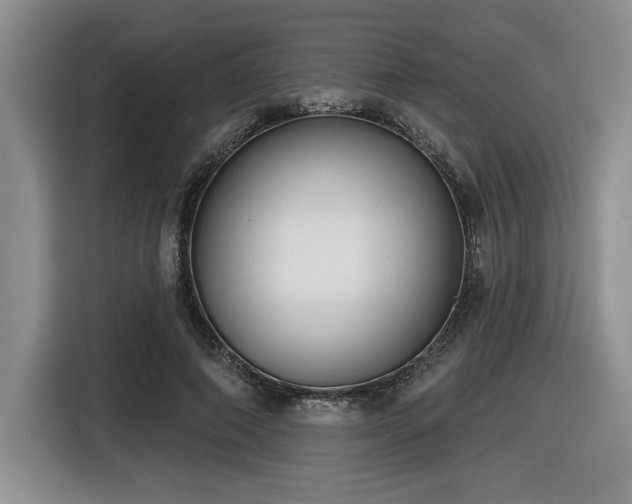 X0000116630690200912111217