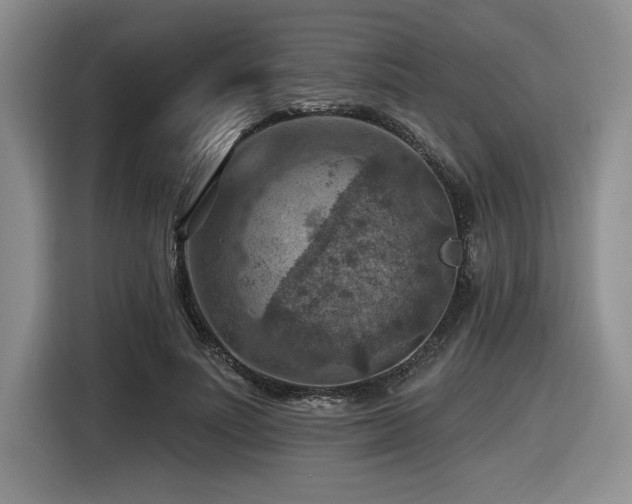 X0000116630691200912111217