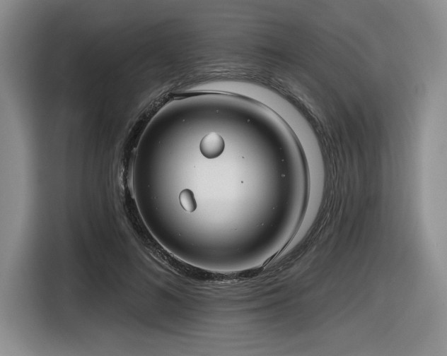 X0000116630692200912111217