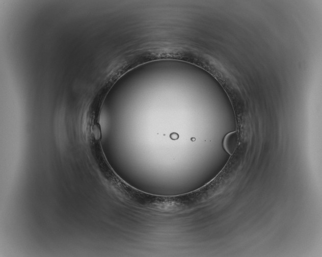 X0000116630695200912111217