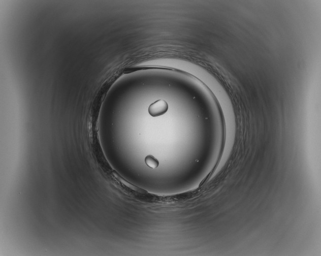 X0000116630696200912111217