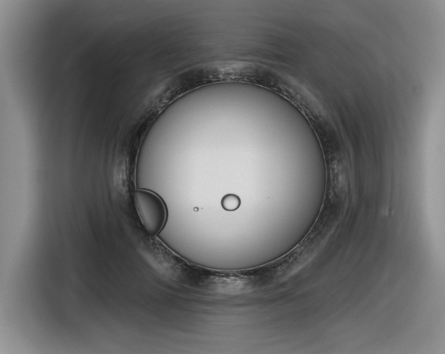 X0000116630698200912111217