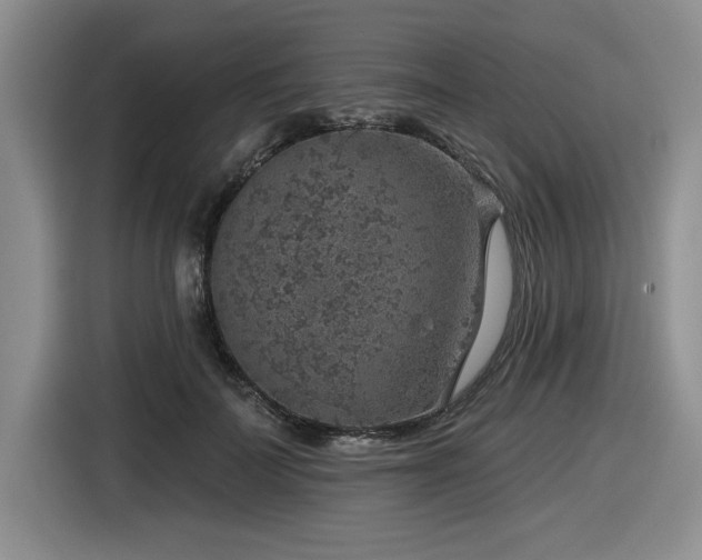 X0000116630699200912111217