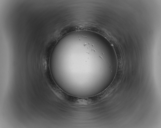 X0000116630703200912111217