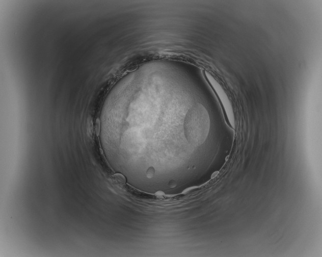 X0000116630704200912111217