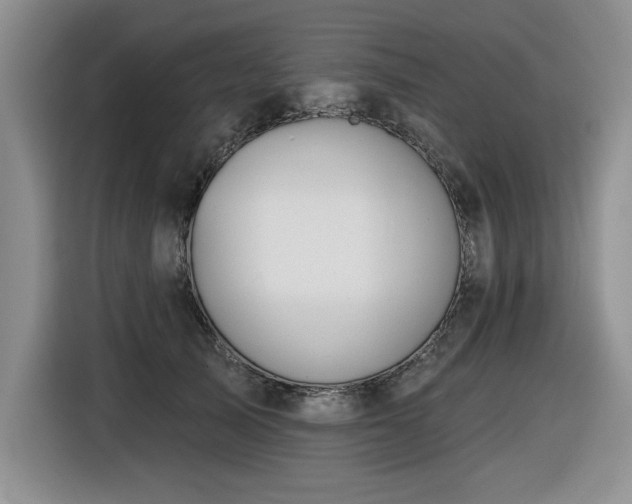 X0000116630705200912111217