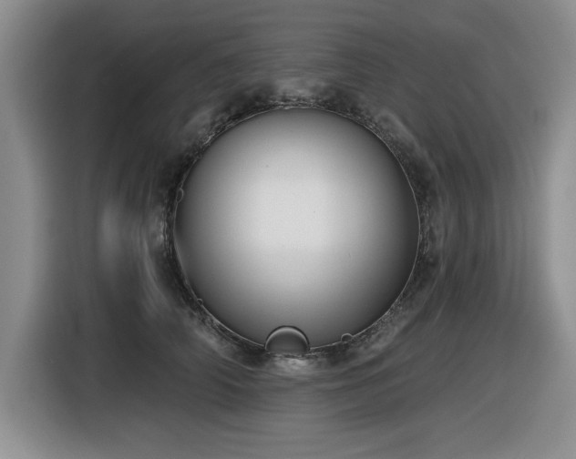 X0000116630706200912111217