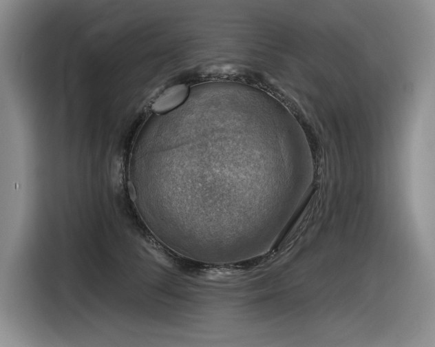 X0000116630708200912111217