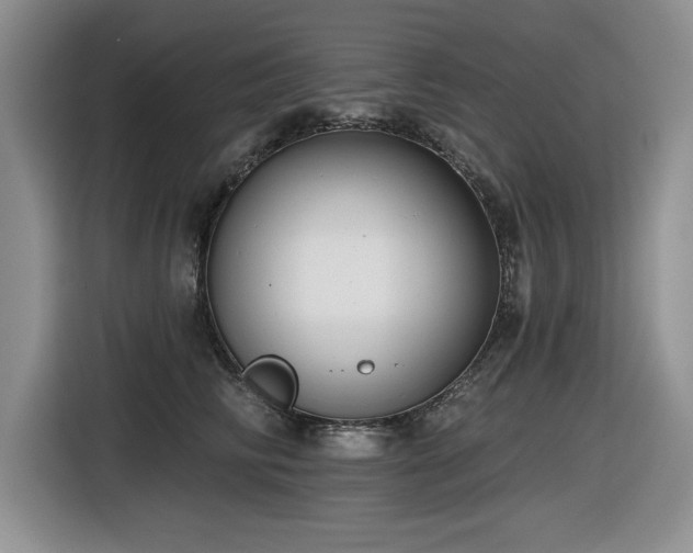 X0000116630710200912111217