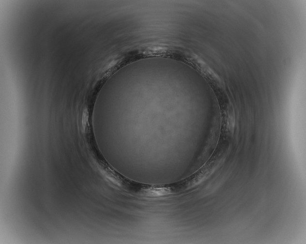 X0000116630711200912111217