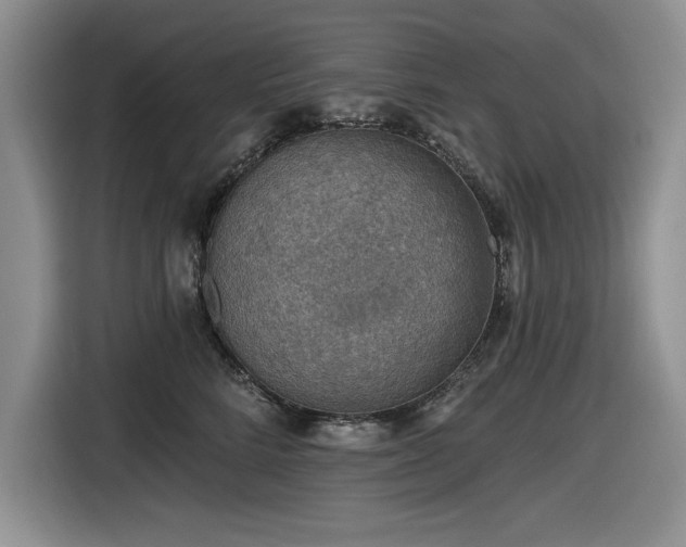 X0000116630712200912111217