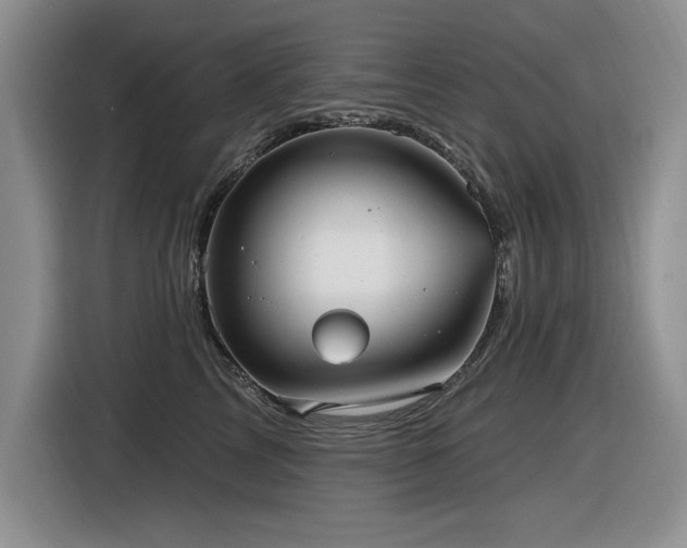 X0000116630713200912111217