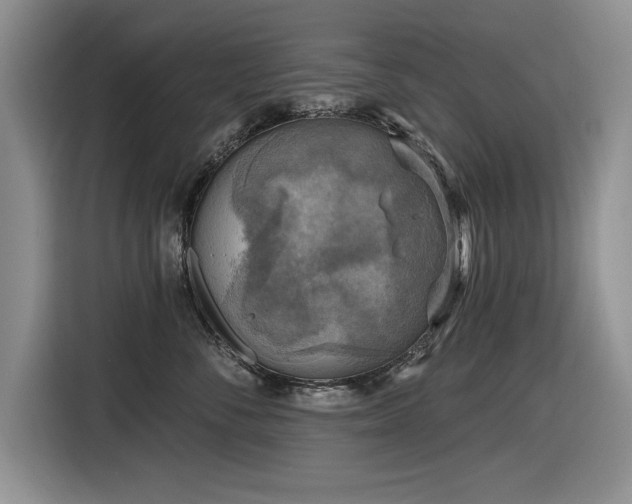 X0000116630716200912111217